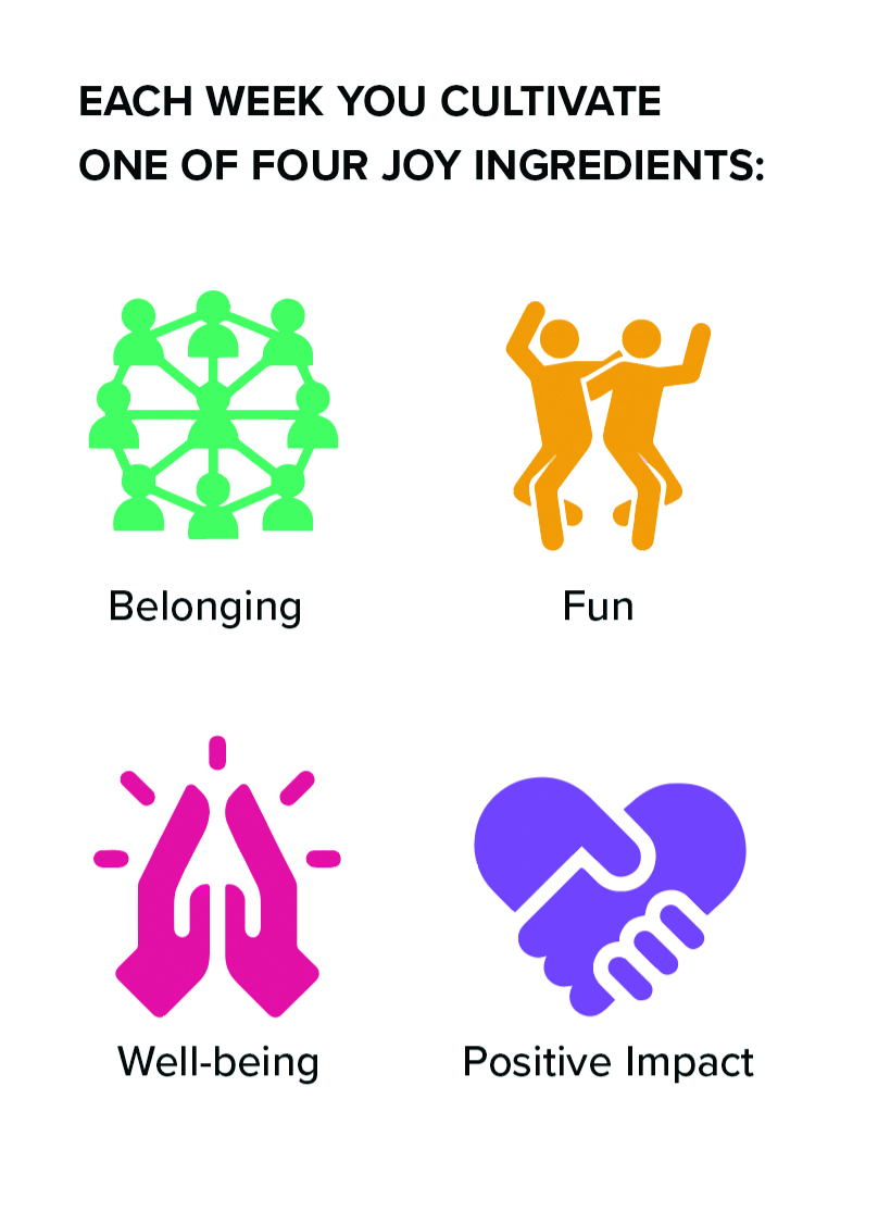 The four joy ingredients are belonging, fun, well-being, and positive impact 