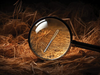 a photo illustration of a needle in a haystack